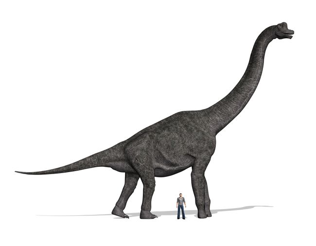 early jurassic period dinosaurs