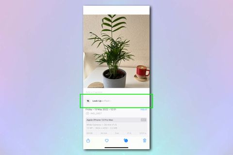 How to identify plants on iPhone | Tom's Guide