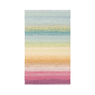 Wayfair rainbow striped rug