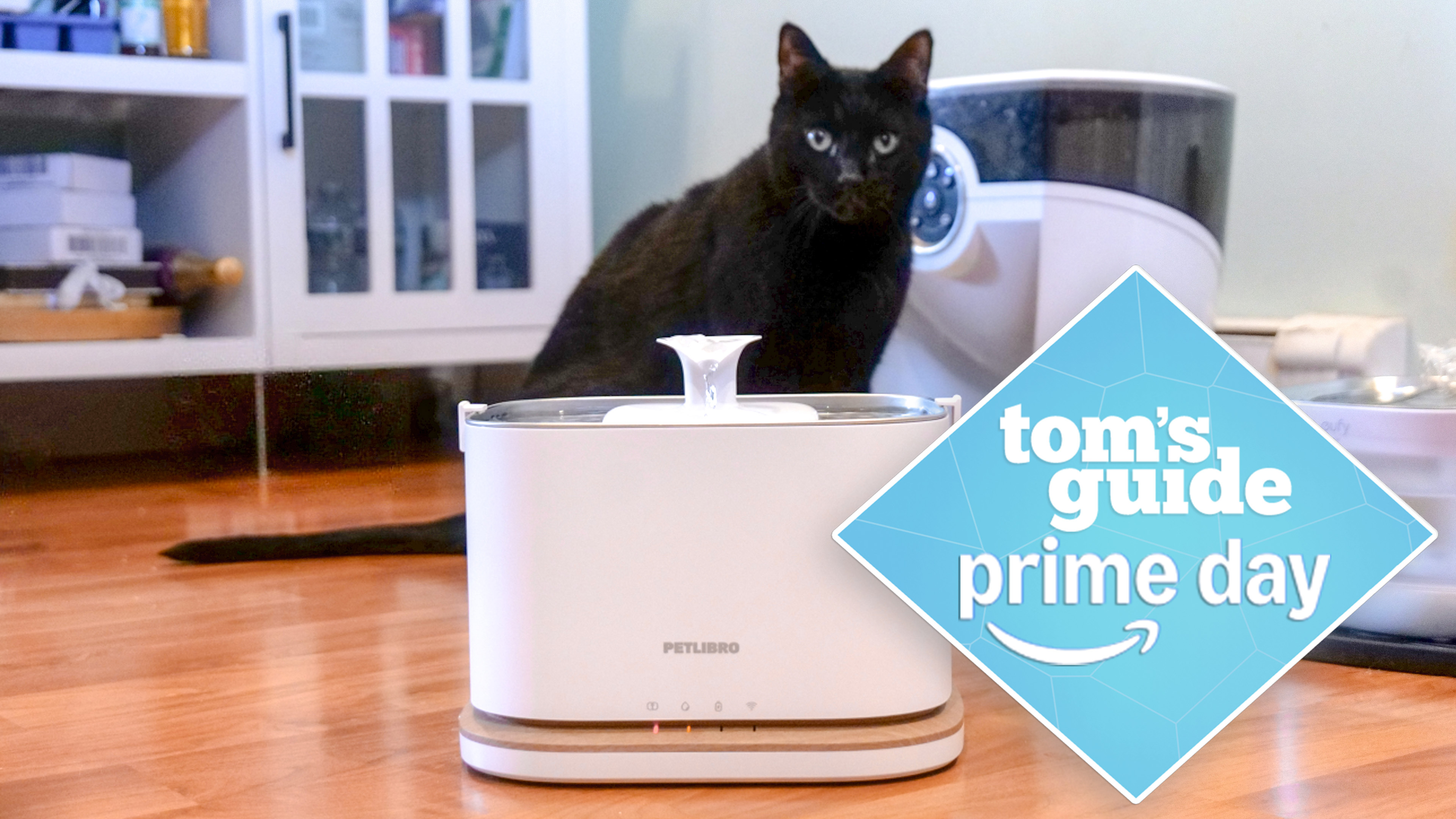 Cat using Petlibro Dockstream Smart Water Fountain.