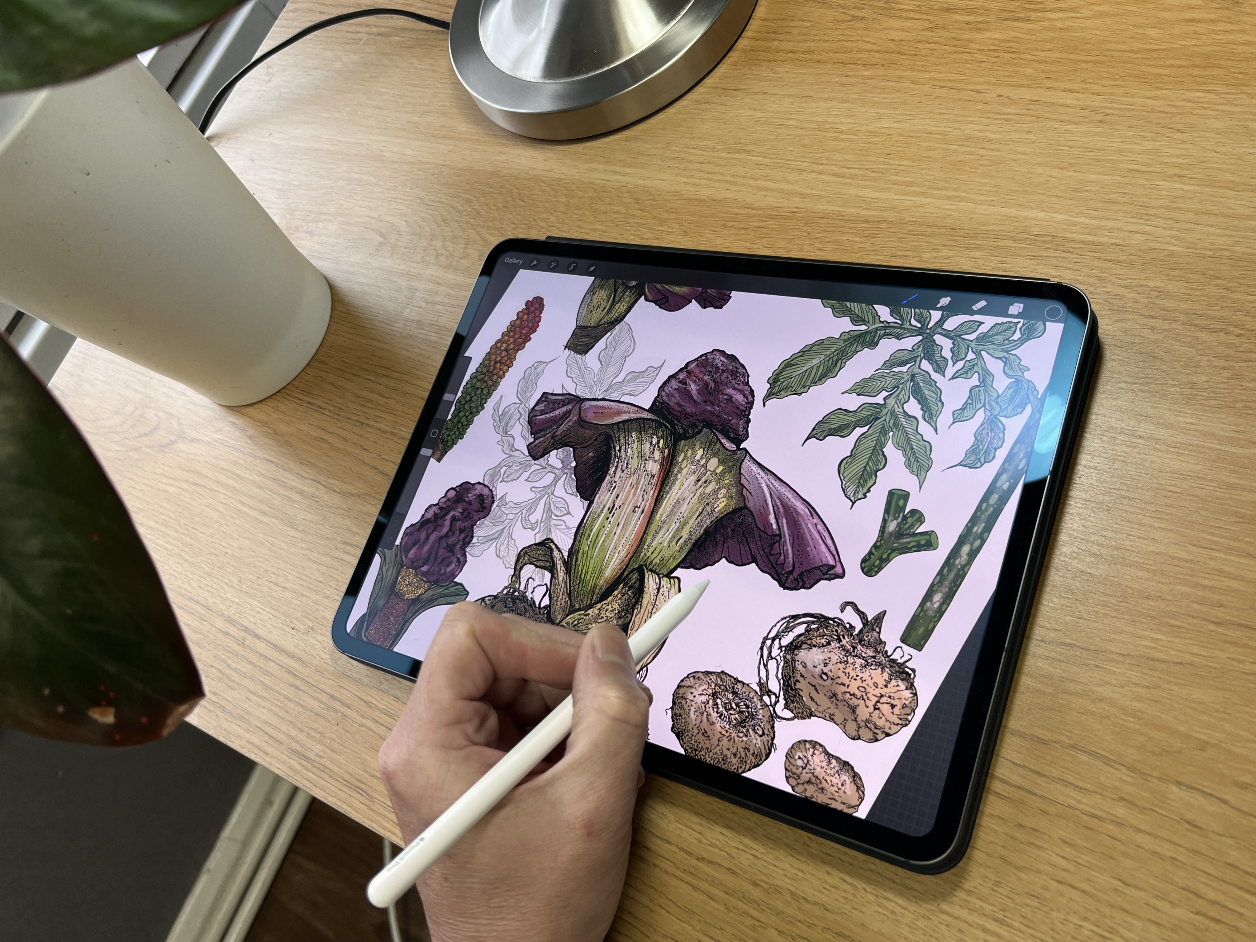 A white Apple Pencil Pro being used with an iPad Pro M4