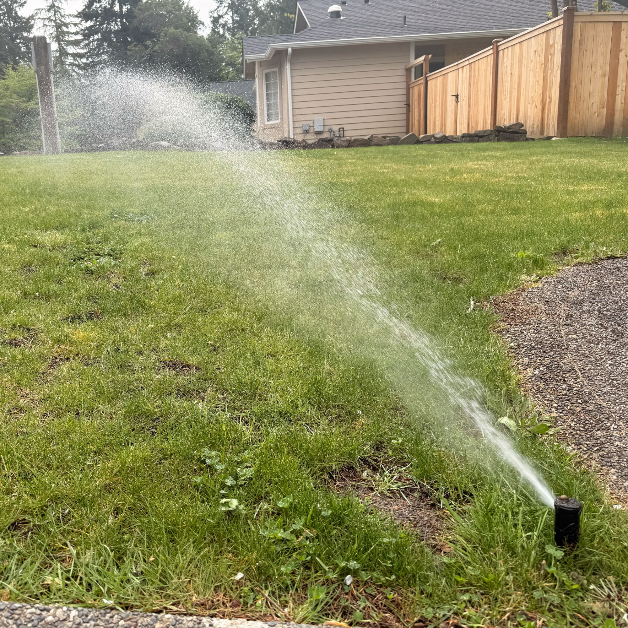 Sprinkler running