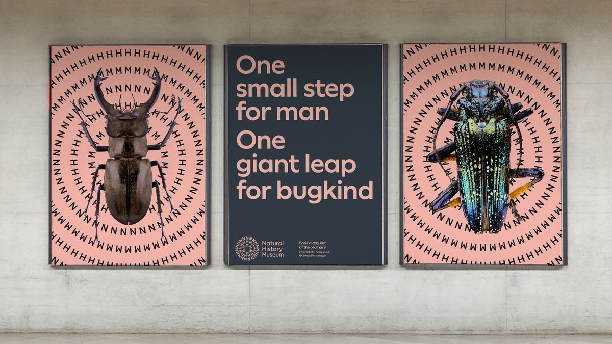 How we made the Natural History Museum's new identity