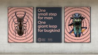 National History Museum rebrand 