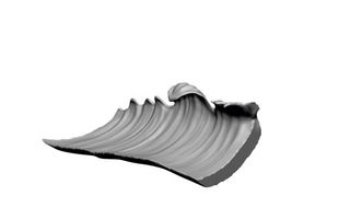 Use the Standard, Dam Standard and Smooth brushes to sculpt the wave's ridges