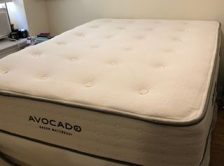 Avocado Green mattress review