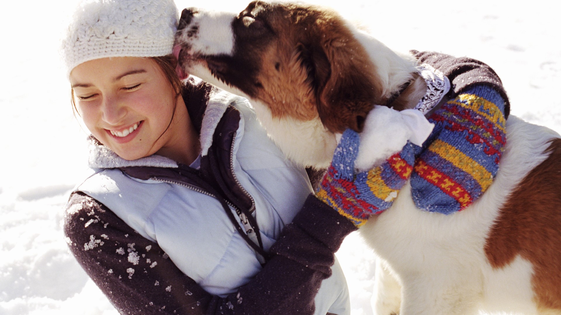A Saint Bernard licks a smiling person on a snowy day
