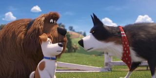 The Secret Life of Pets 2