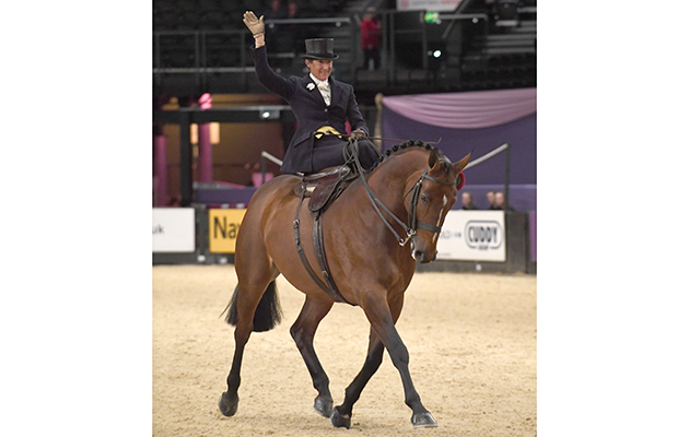 TIME 2 REFLECT owned by Diane Stennett ridden or exhibited by Jayne Ross in the Ladies Side Saddle Horse of the Year Championship during the Horse of the Year Show at the NEC near Birmingham, UK between 4th - 8th October 2017