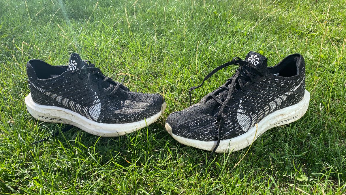 Nike Pegasus Turbo Next Nature Review Coach