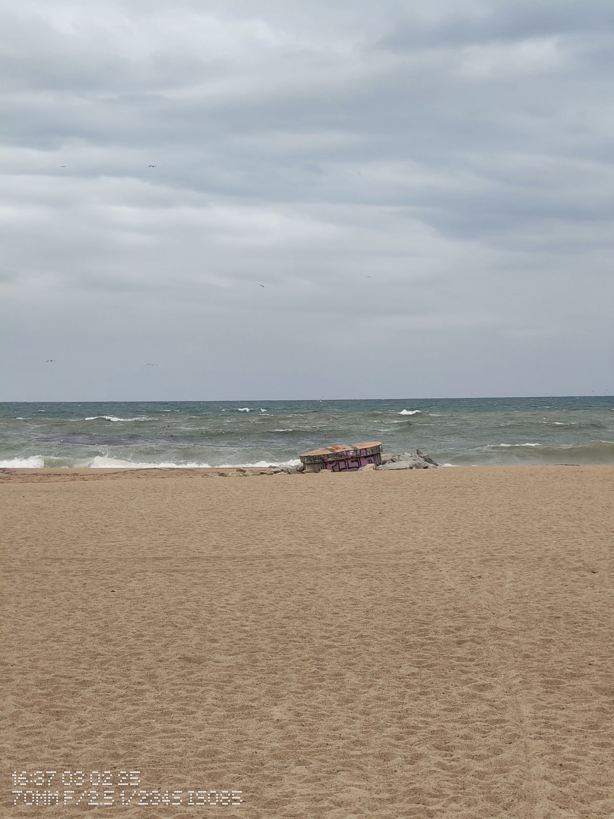 A windswept beach in Barcelona