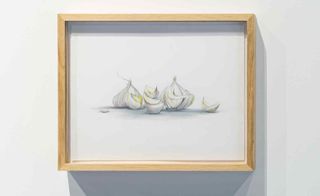 White wall, light wood framed picture, artist sketch of garlic cloves
