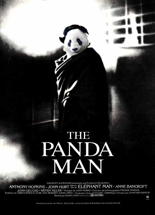 The Panda Man
