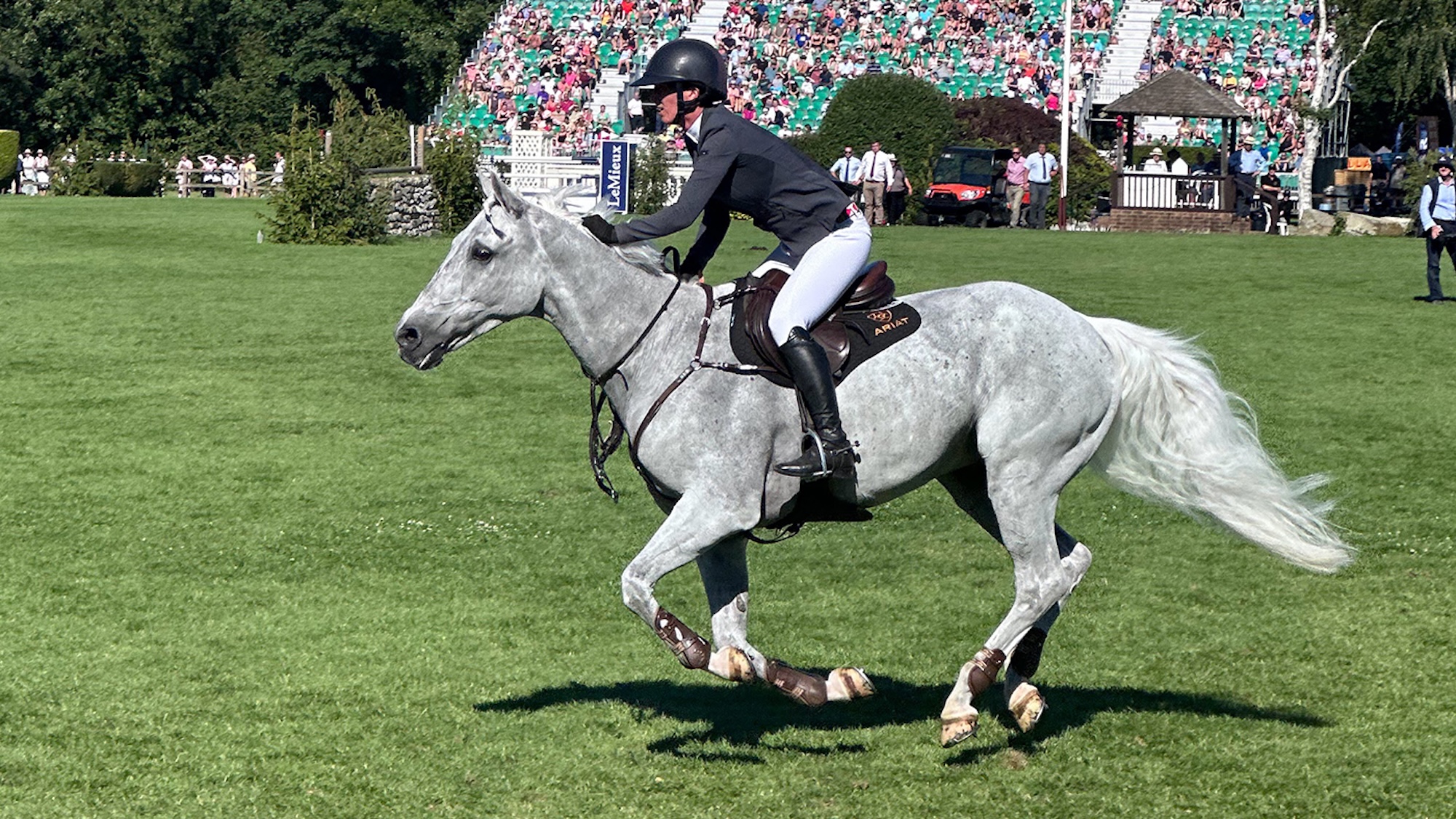 Silver Lift with no bridle on in the speed derby