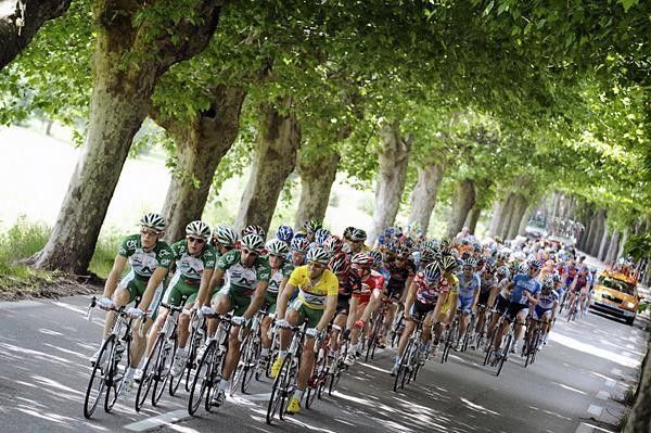 The peloton roles through the French countryside.