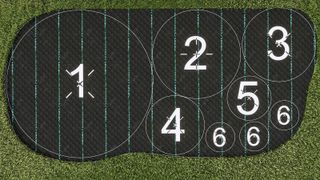 Planting map of medium garden bed