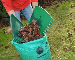 Collecting leaves in a sack to make leaf mould