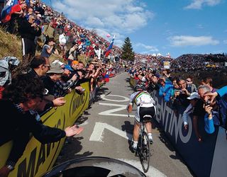 World champion Cadel Evans (BMC) ascends the Zoncolan during the Giro d'Italia's 15th stage.