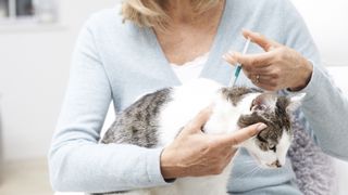 lady giving cat topical flea treatment