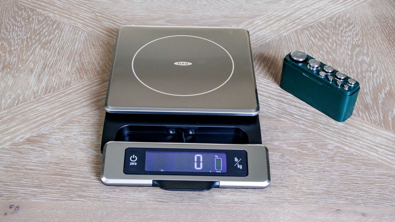 OXO Good Grips 11lb Food Scale with calibration weights