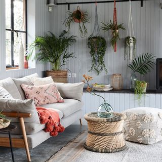 grey living room with wall-mounted hanging plants and a grey sofa with wooden legs with accessories
