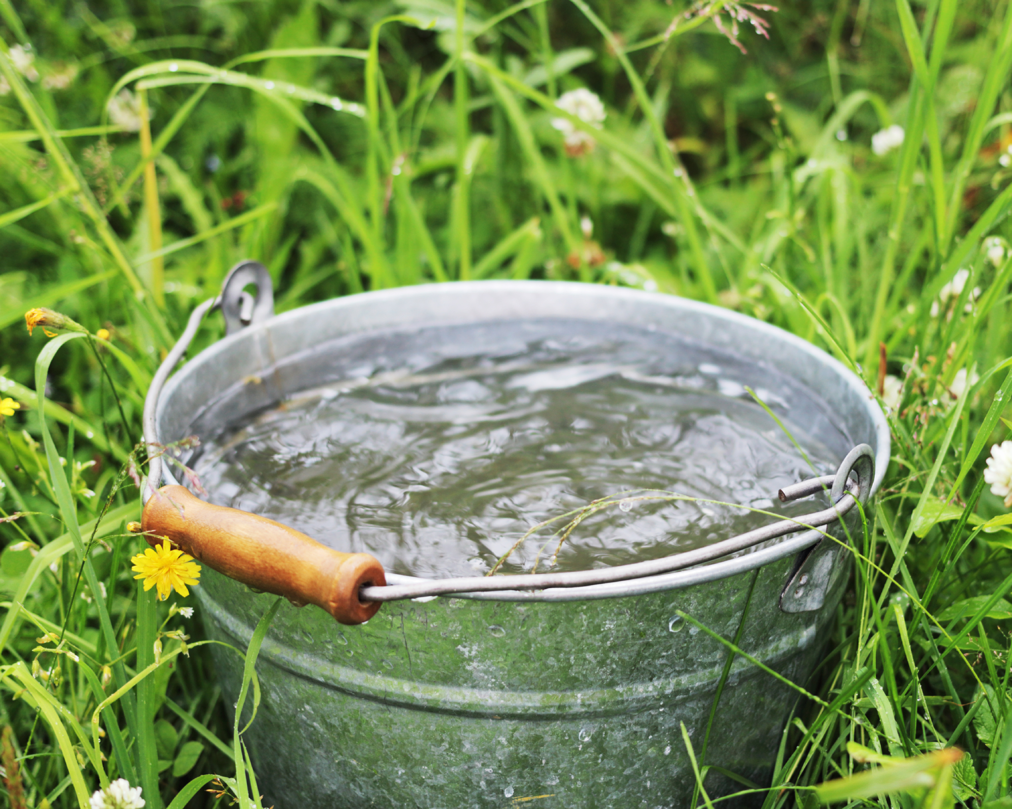 Bucket filled with water