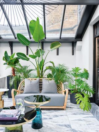 a sunroom filled with plants and rattan furniture