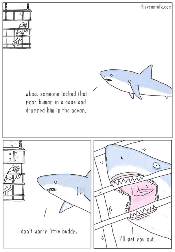 They Can Talk animal illustrations