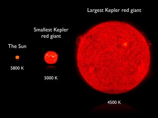 A graph from NASA's Kepler Space Telescope mission shows the size of red giant stars compared to the sun.