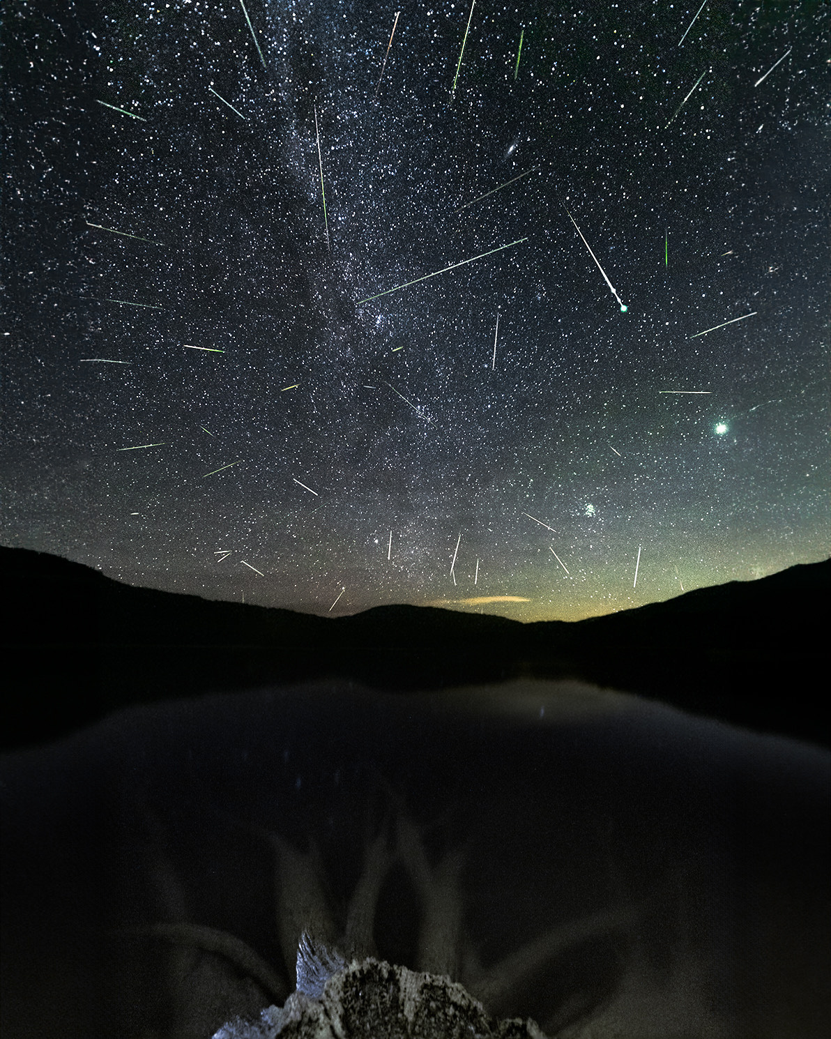 A meteor shower is depicted against a starry sky and a scenic foreground