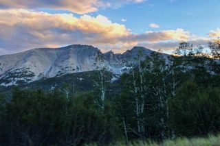 Nevada es conocida por sus artemisas y sus pequeñas crestas, pero Wheeler Peak es una excepción. Aquí se puede ver una vista cerca de la cima de la carretera hacia la cumbre, con álamos y tundra alpina de gran altura.