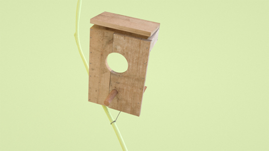 3D bird animation