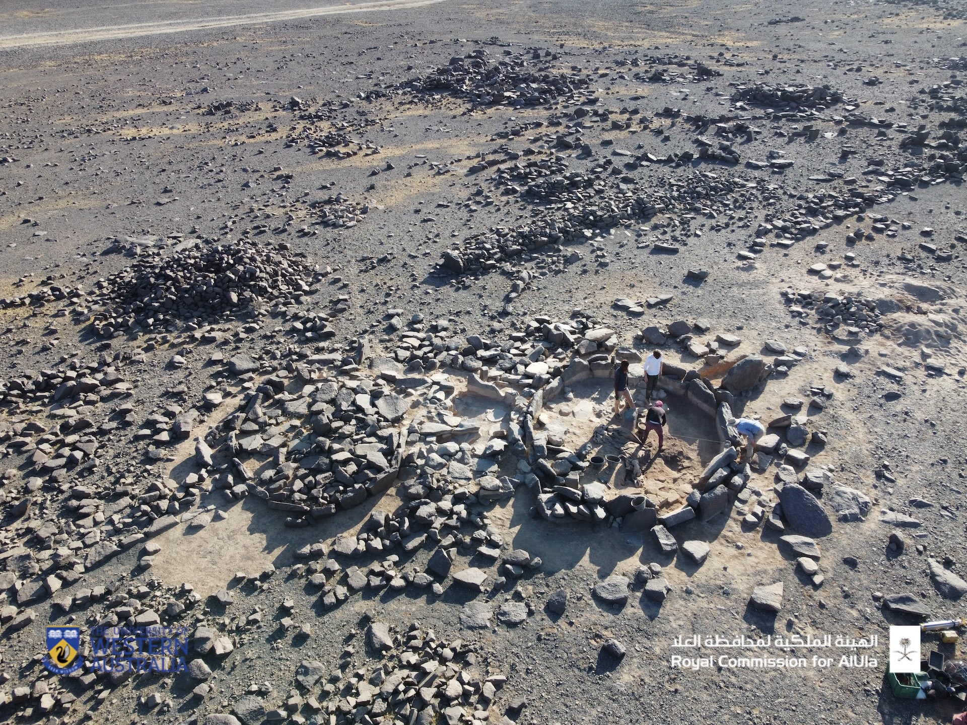 An aerial photo showing archaeologists excavating the site