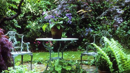 a blue/white antique table and chairs set in one of our favorite shade gardens, with a potted flower on top of the table and hedges, trees and flowers all around in the background