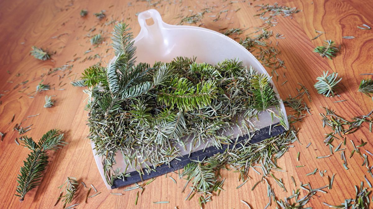 How to clean up Christmas tree pine needles with ease Tom's Guide