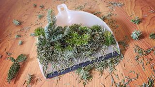 A dustpan filled with Christmas tree pine needles