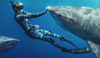 Shark Whisperer follows the extraordinary exploits of Ocean Ramsey.