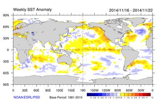 Sea surface temperature variation across the globe from Nov. 16 to Nov. 22, 2014.