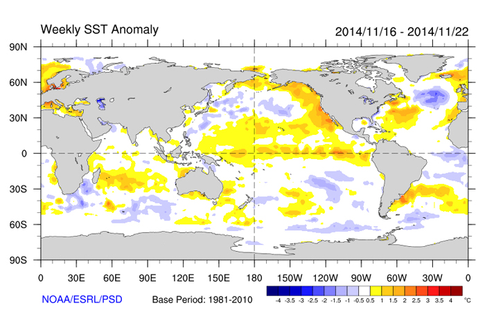 Sea surface temperature variation across the globe from Nov. 16 to Nov. 22, 2014.