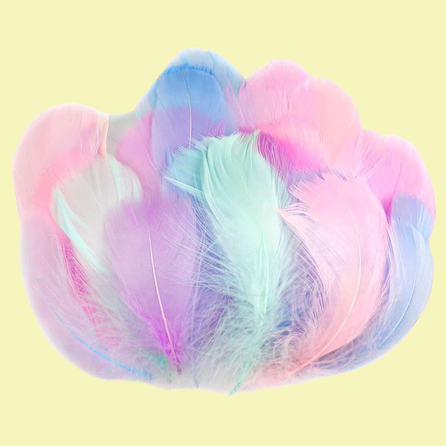A pack of colorful feathers
