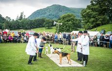 1-Rydal-Hound-Show-2016-239.jpg
