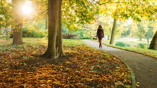 A woman walks through a park on a sunny autumn morning
