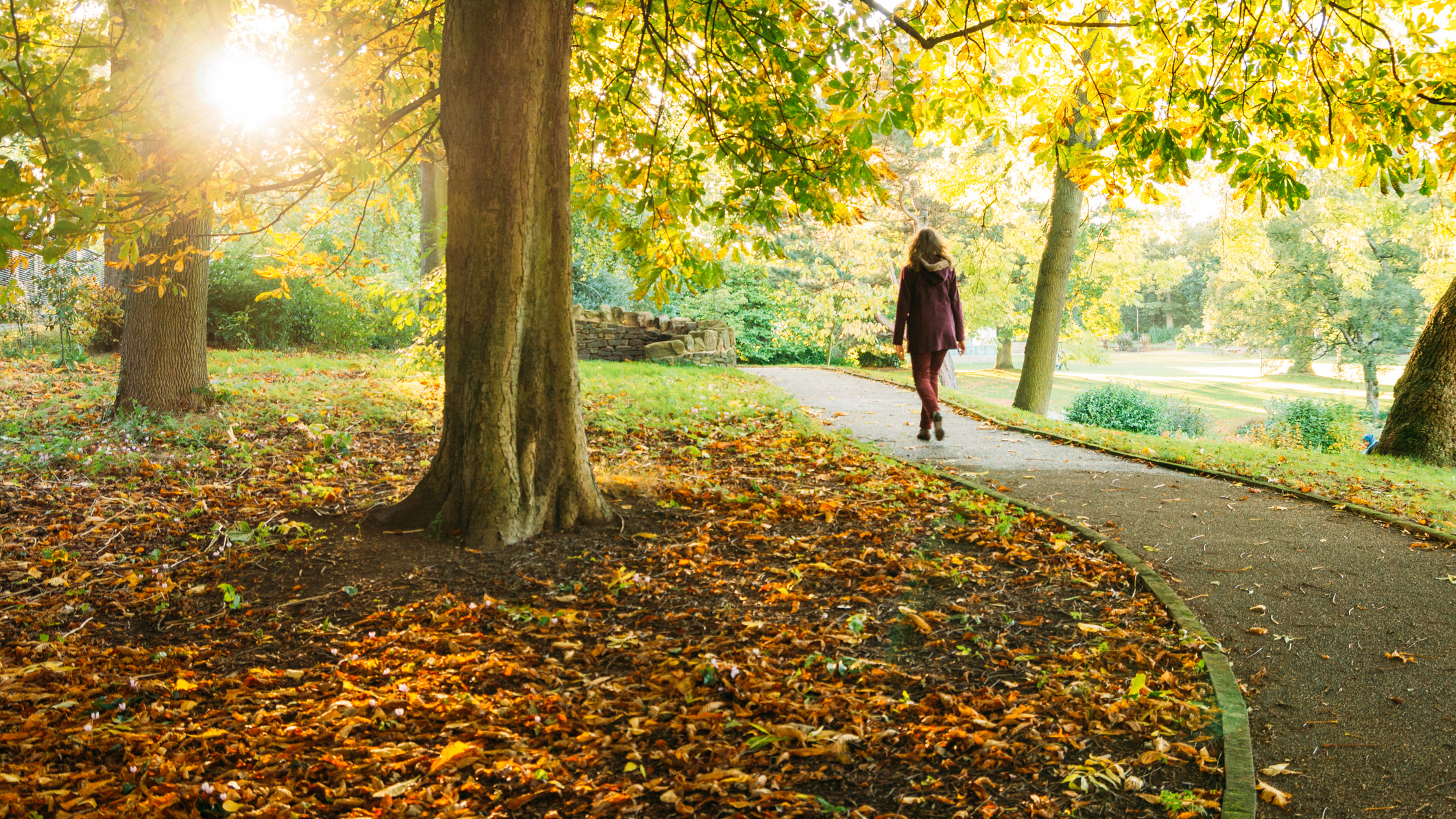 A woman walks through a park on a sunny autumn morning to help her sleep better at night