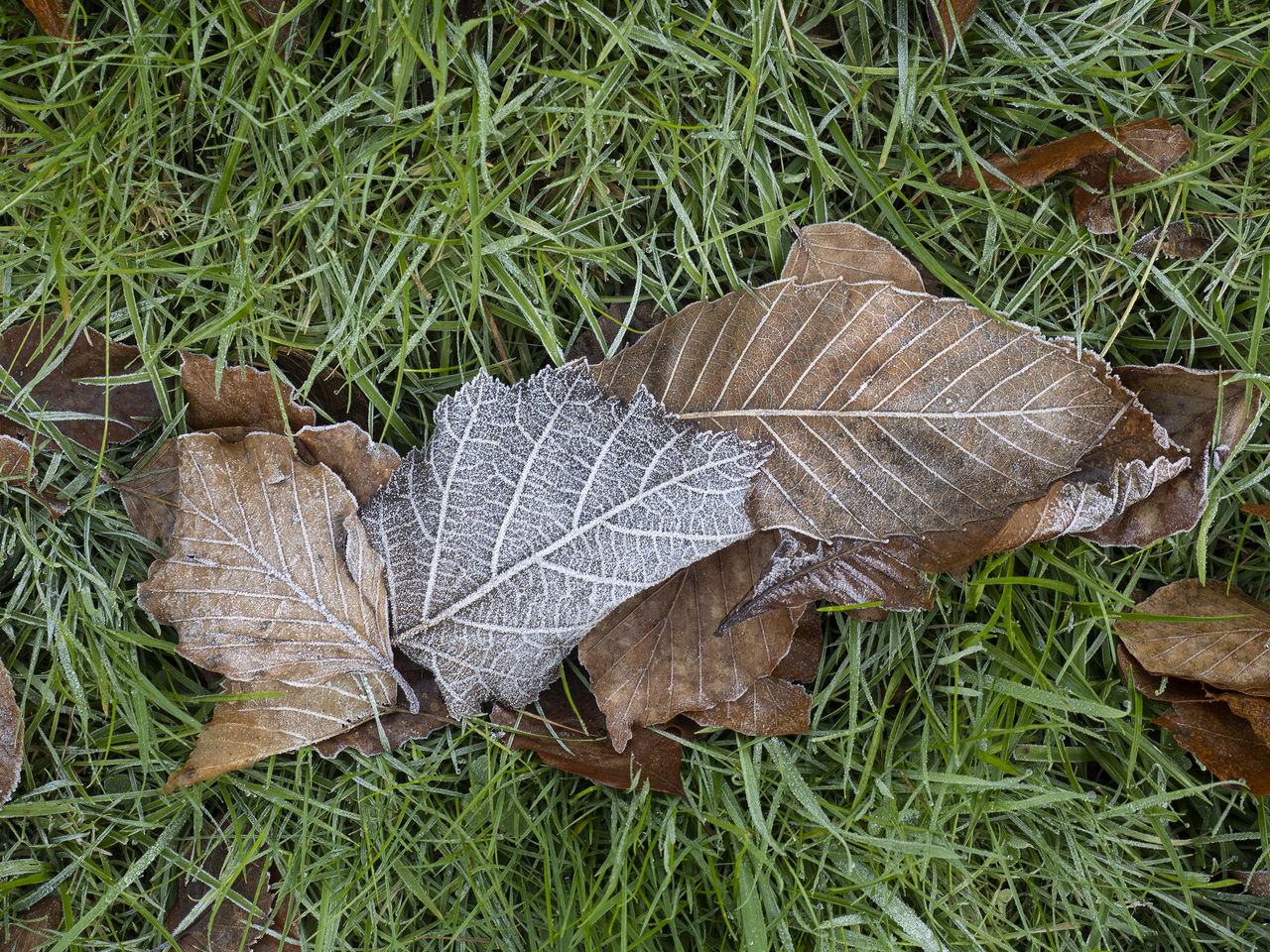 Olympus OM-D E-M5 Mark III