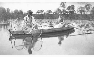 Setting the Bow-Net, in Life and Landscape on the Norfolk Broads