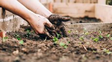 Gardening tips for National Gardening Week