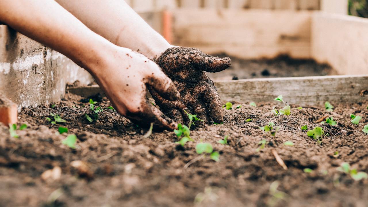 8 eco-friendly gardening tips for a greener sustainable garden | T3