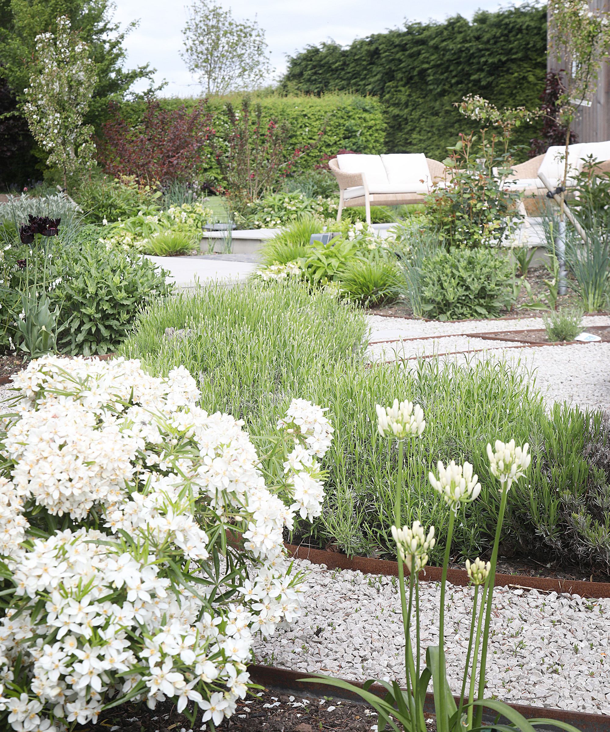 A beautifully landscaped garden with gravel pathways and edged garden borders