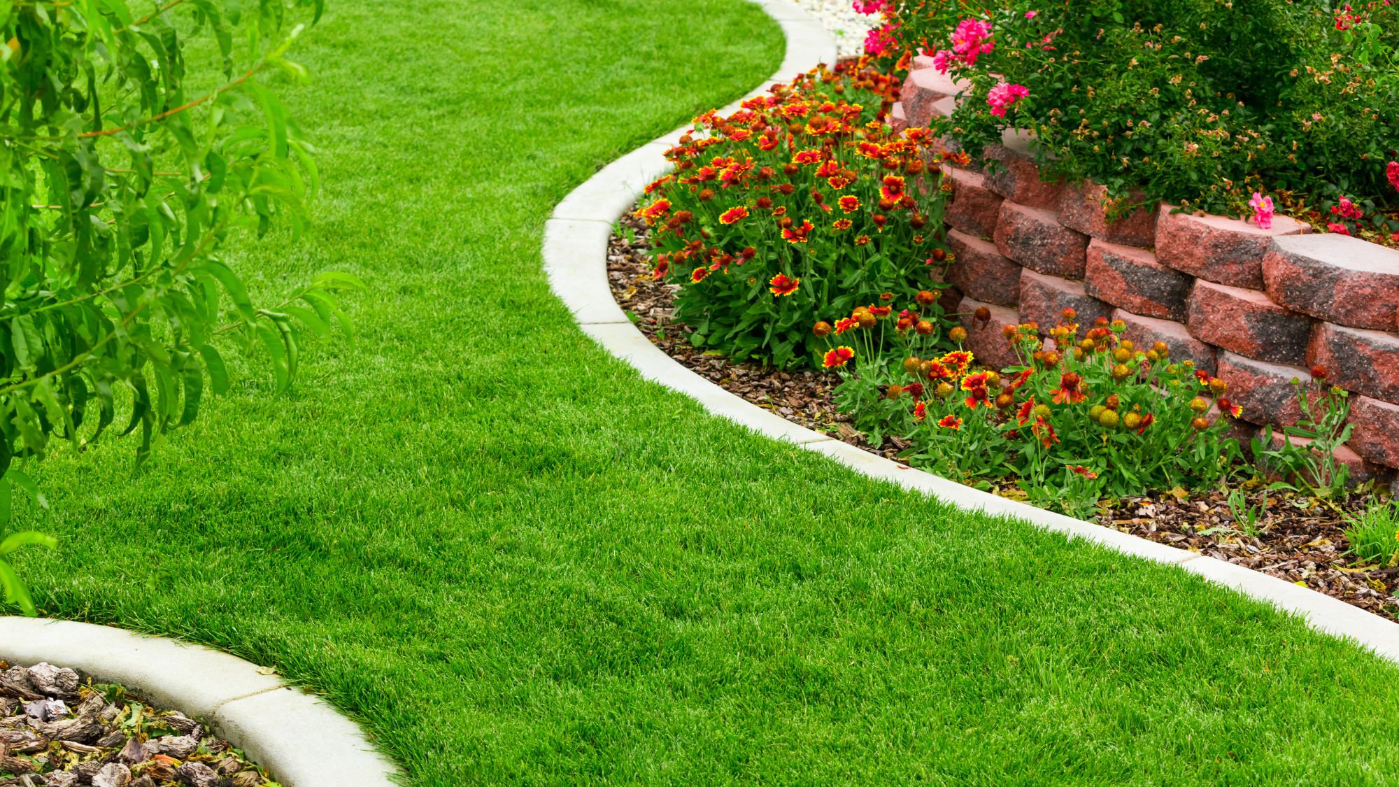 Lush lawn with border garden
