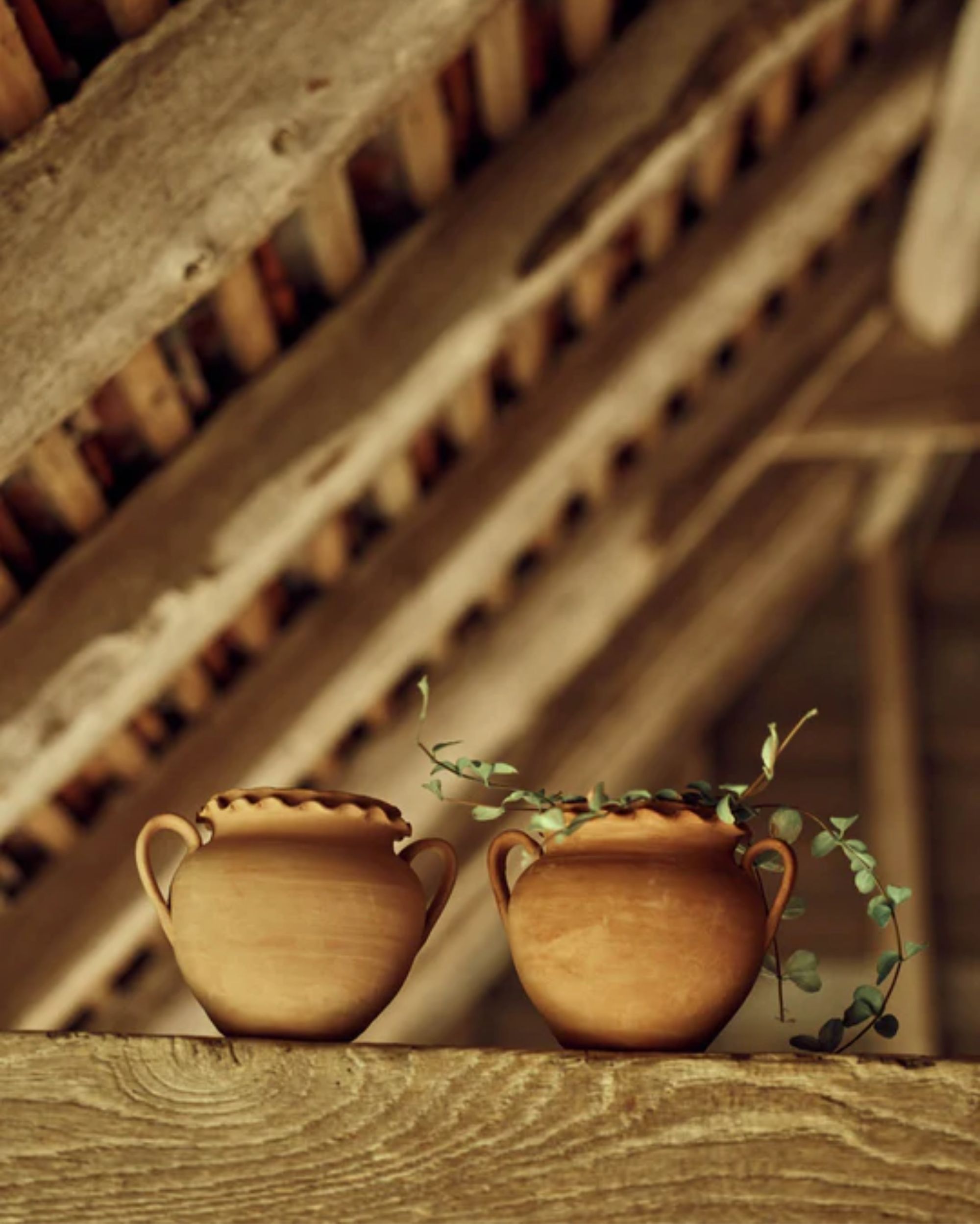 Rowen &amp;amp; Wren, Etta Terracotta Pot, Small